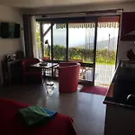 Lucky Lemons - Boutique Madeira