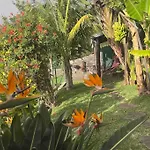 Lucky Lemons - Boutique Madeira Apartman