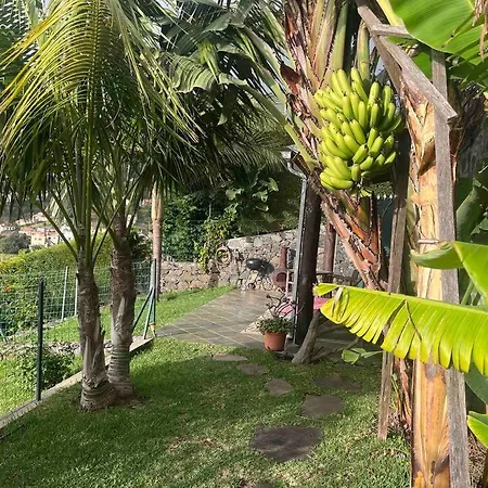 Appartamento Lucky Lemons - Boutique Madeira Calheta (Madeira)