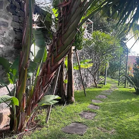 Lucky Lemons - Boutique Madeira Appartamento Calheta (Madeira)