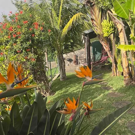 Lucky Lemons - Boutique Madeira Apartman