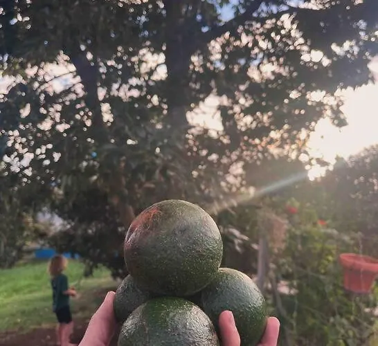 Apartment Lucky Lemons - Boutique Madeira