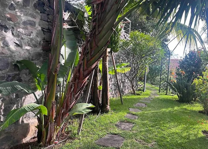 Lucky Lemons - Boutique Madeira Apartment Calheta (Madeira)