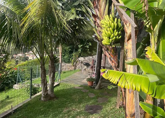 Apartment Lucky Lemons - Boutique Madeira Calheta (Madeira)