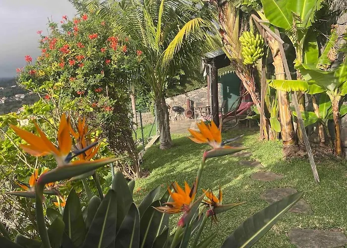 Lucky Lemons - Boutique Madeira Apartment